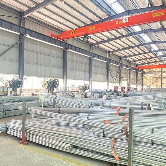 China Sichuan Xinglong Excellence Development Science and Technology Co., Ltd. Unternehmensprofil