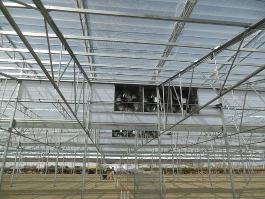PO/PEP/HDPE Plastic Film Sawtooth Plastic Tunnel Greenhouse