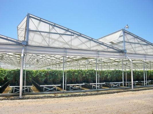 PO/PEP/HDPE Plastic Film Sawtooth Plastic Tunnel Greenhouse
