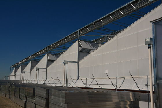 PO/PEP/HDPE Plastic Film Sawtooth Plastic Tunnel Greenhouse