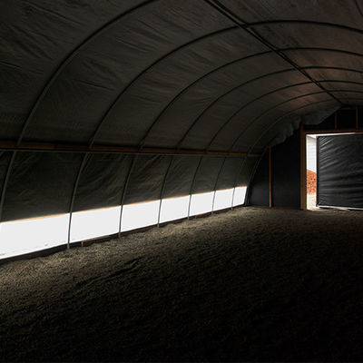 LED-Beleuchtungs-Gewächshaus mit automatischer Temperaturfeuchtigkeit und CO2-Kontrolle für ein überlegenes Pflanzenwachstum