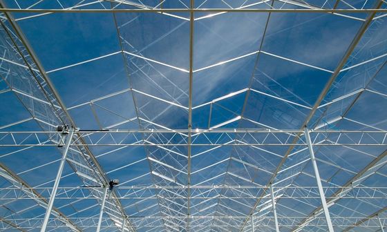 Durchsichtiges Glas Gewächshaus mit Aluminium-Zink-Plättungen