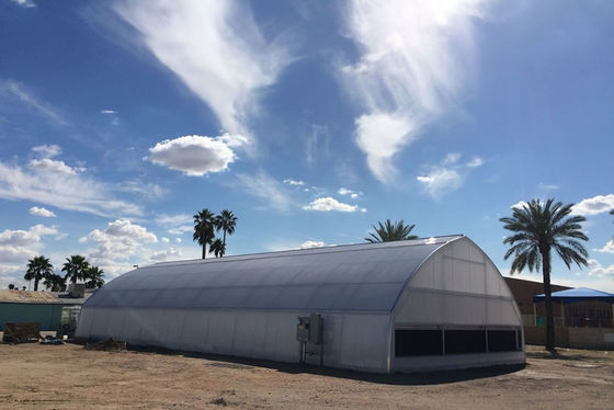 Aluminium-Zinkplattierung Kunststofffilm Gewächshaus UV-geschützte Lichtübertragung Anti-Aging Anti-Drip