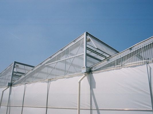 PO/PEP/HDPE Plastic Film Sawtooth Plastic Tunnel Greenhouse