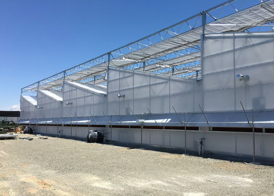 PO/PEP/HDPE Plastic Film Sawtooth Plastic Tunnel Greenhouse